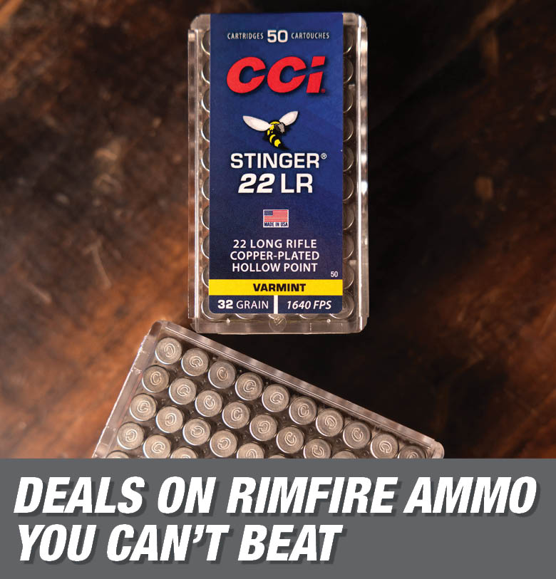 RIMFIRE AMMO